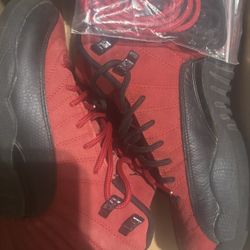 Jordan 12