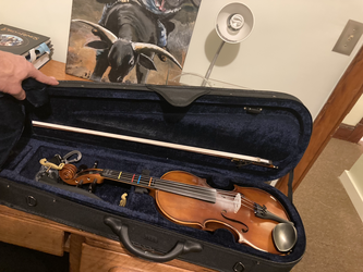 Amati’s Fine Instruments Model #095, full-size 4/4.