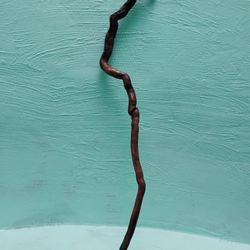 Manzanita Root / Driftwood Refurbished 
