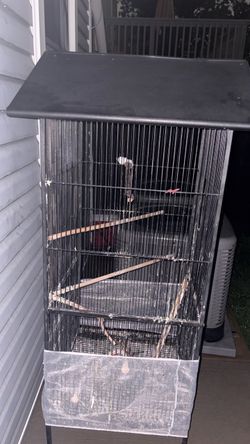 Big Bird Cage