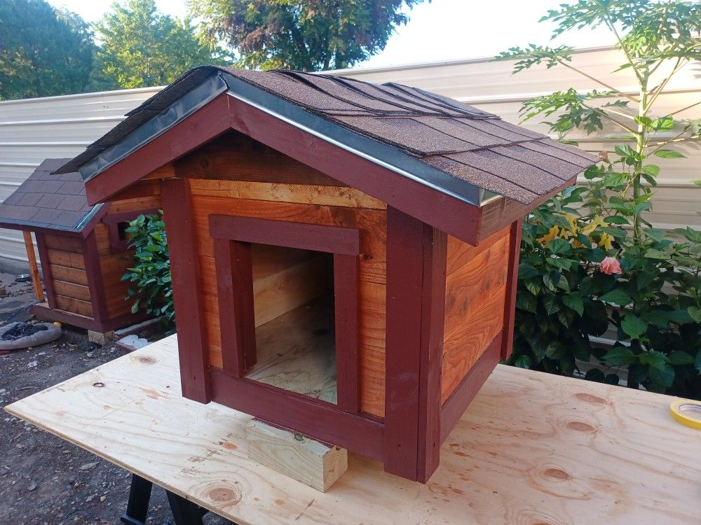 Custom Dog House