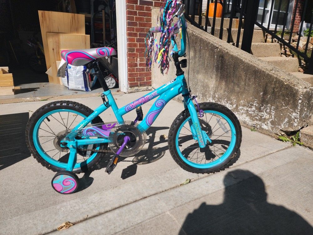 Childrens Bicycle