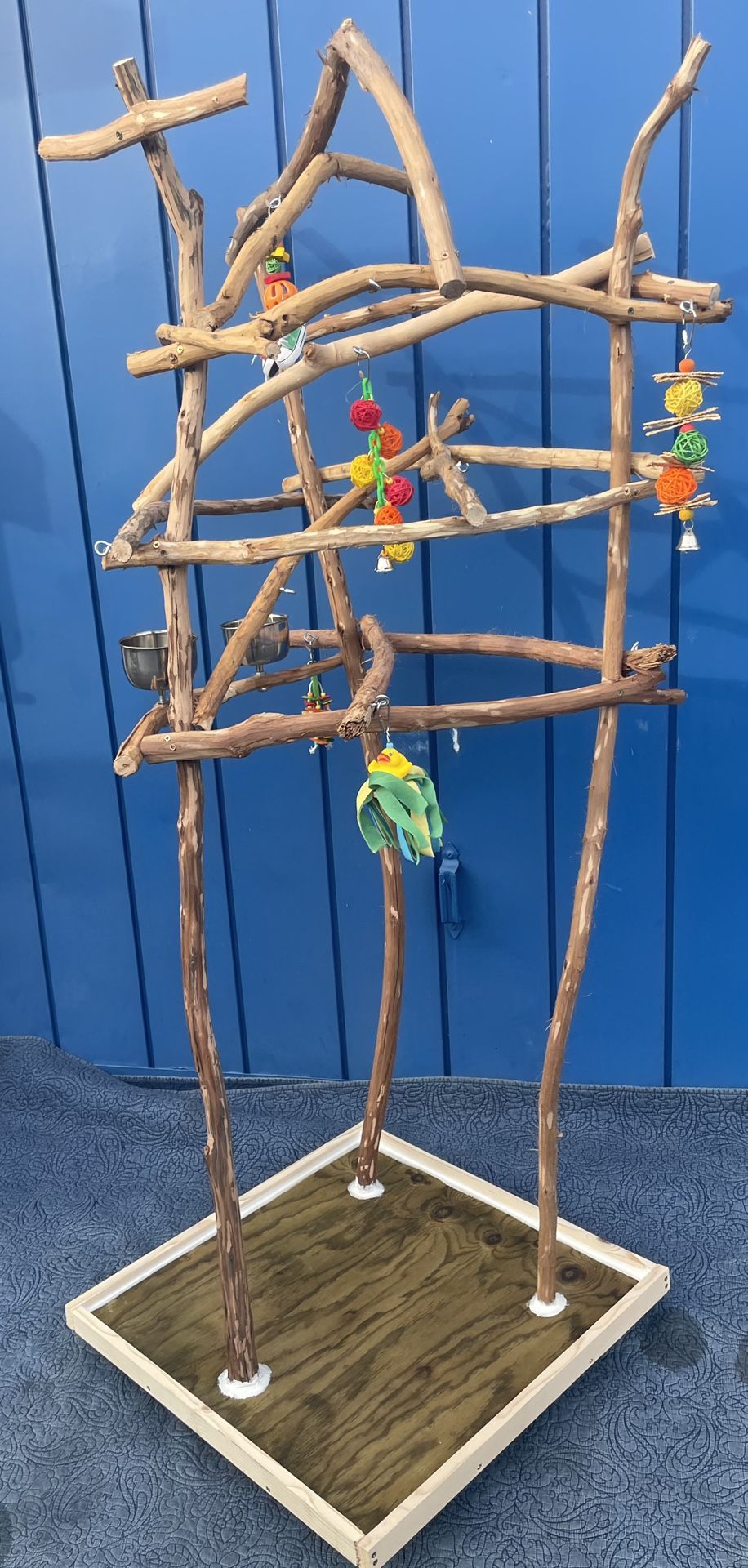 African Grey Amazon Parrot Perch Tree … The Best Socializer For Mr Feathers 👌🏾