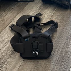 Go pro chesty mount 
