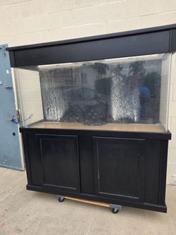 Acrylic aquarium