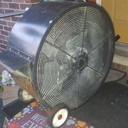 Industry Fan Shop Fan 