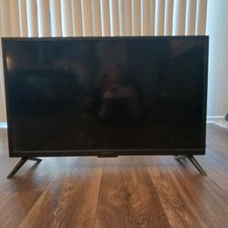 28.5" Insignia TV 