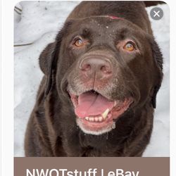 Designer clothes shoes