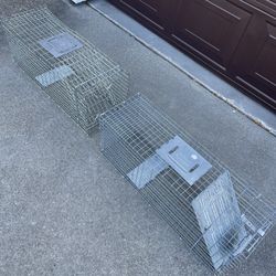 Animal traps