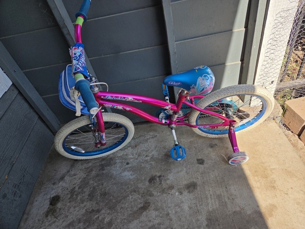 Bicicleta De Ñiña