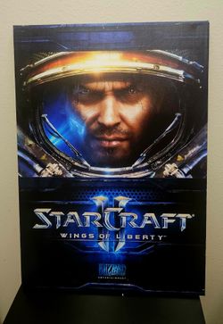 Blizzards Star Craft 2  canvas wall art