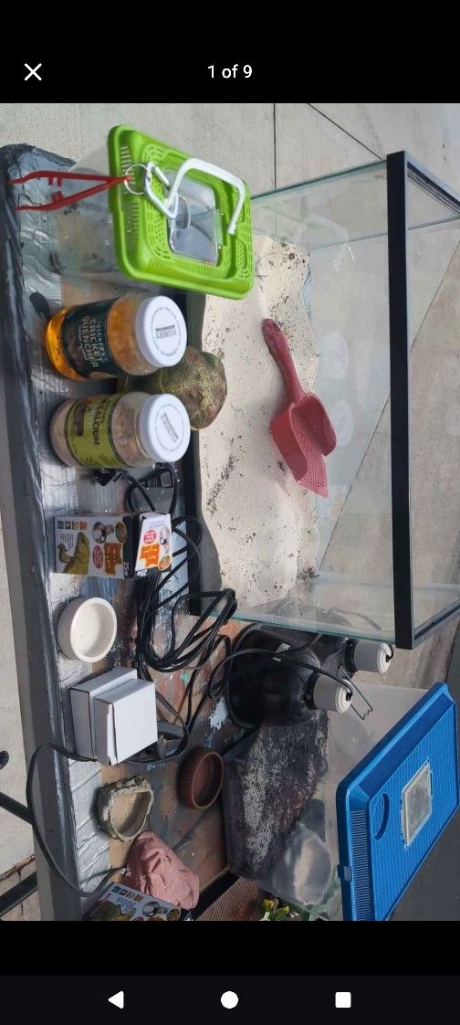 Complete Set Up for small Lizard & Cricket Breeding set up