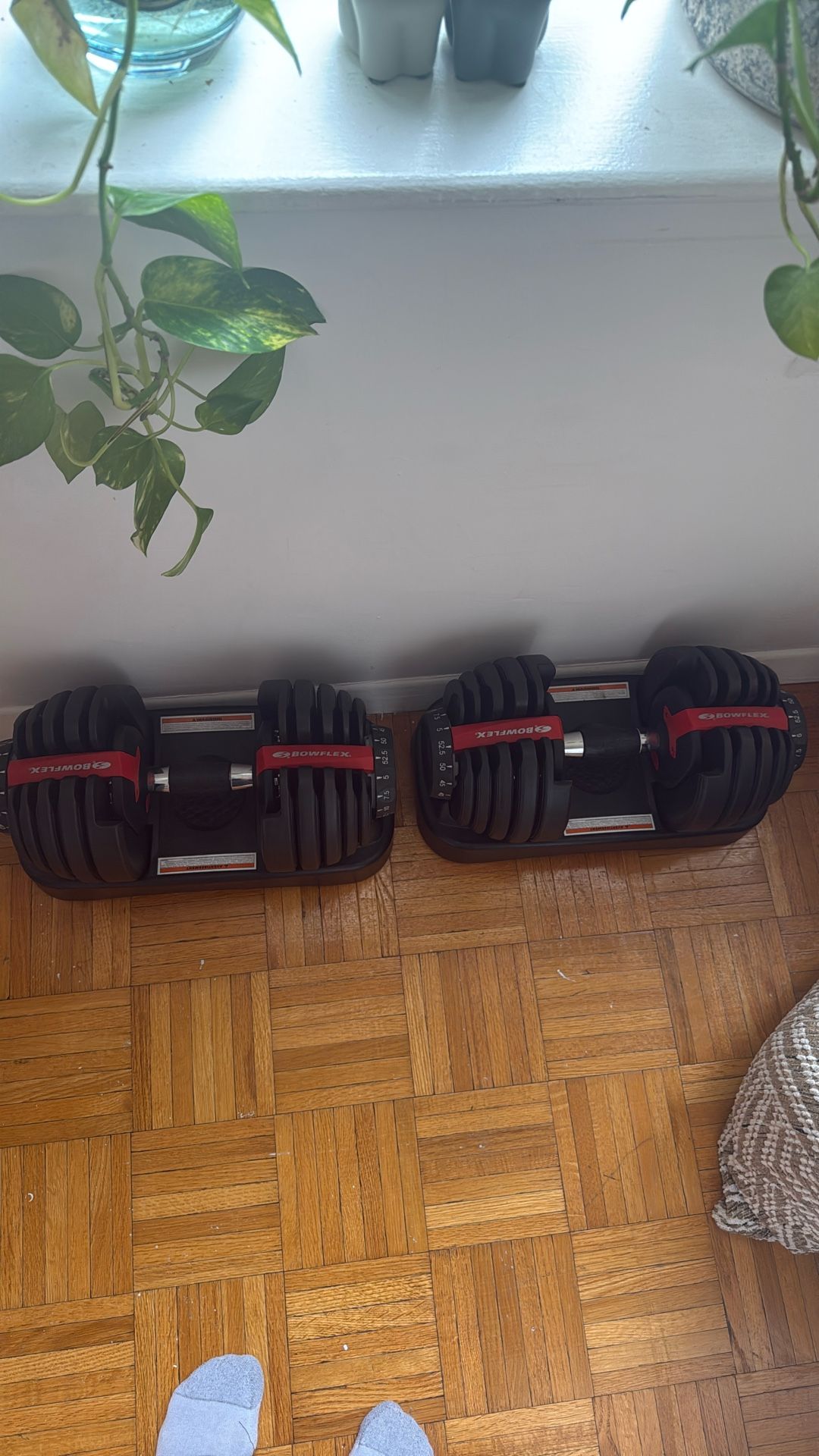 Bowlflex Weights