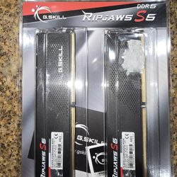 G.SKILL Ripjaws S5 64GB (2 x 32GB) 6000 MT/s DDR5 (INTEL XMP) *32-38-38-96* Desktop RAM Memory
