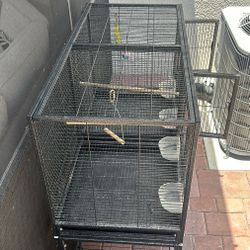 Pets Miscellaneous 