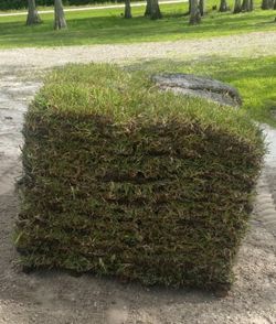 SOD | DELIVERY | PICKUP