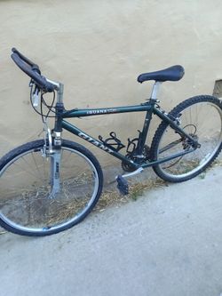 Two bikes for dale