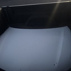 Camry Hood