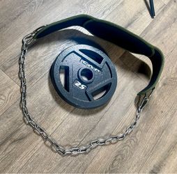 Seektop Weightlifting Dip Belt with a 25 lbs CAP  Weight Plate