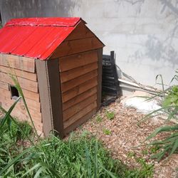 Dog House