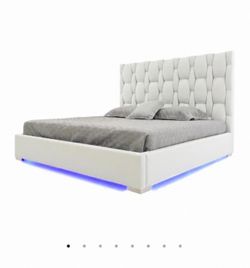Modern Queen Bed