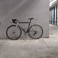 Road Bike Trek Carbon Fiber 