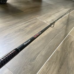 Fishing Rod with Spinning Reel