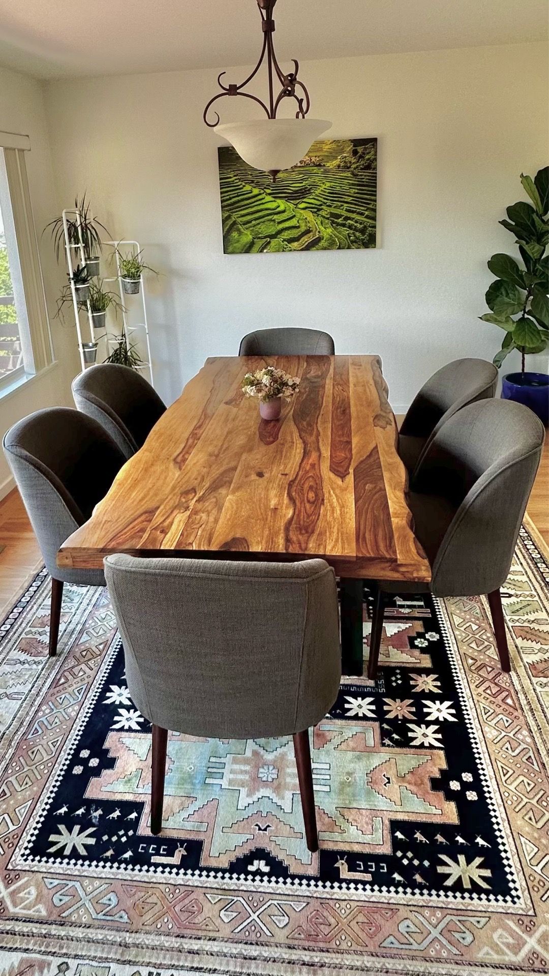 5 or 6 upholstered dining chairs