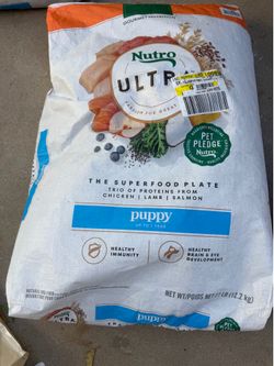 Puppy food