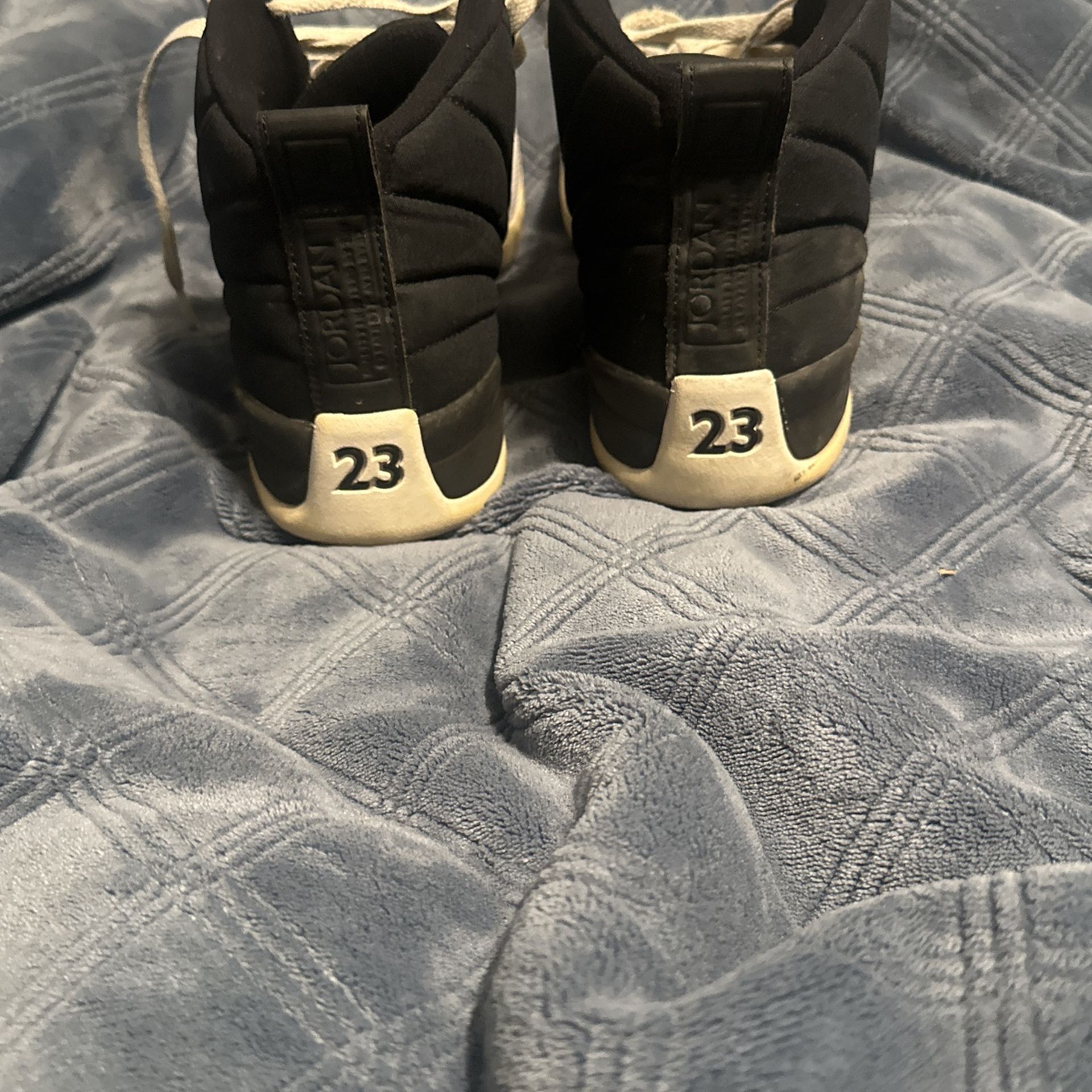 Jordan 12 Neoprene