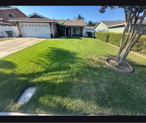 GARDENER / JARDINERO