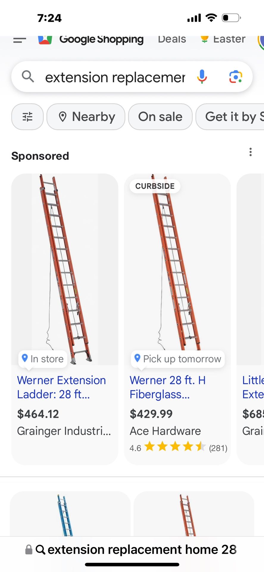 Werner extended ladder