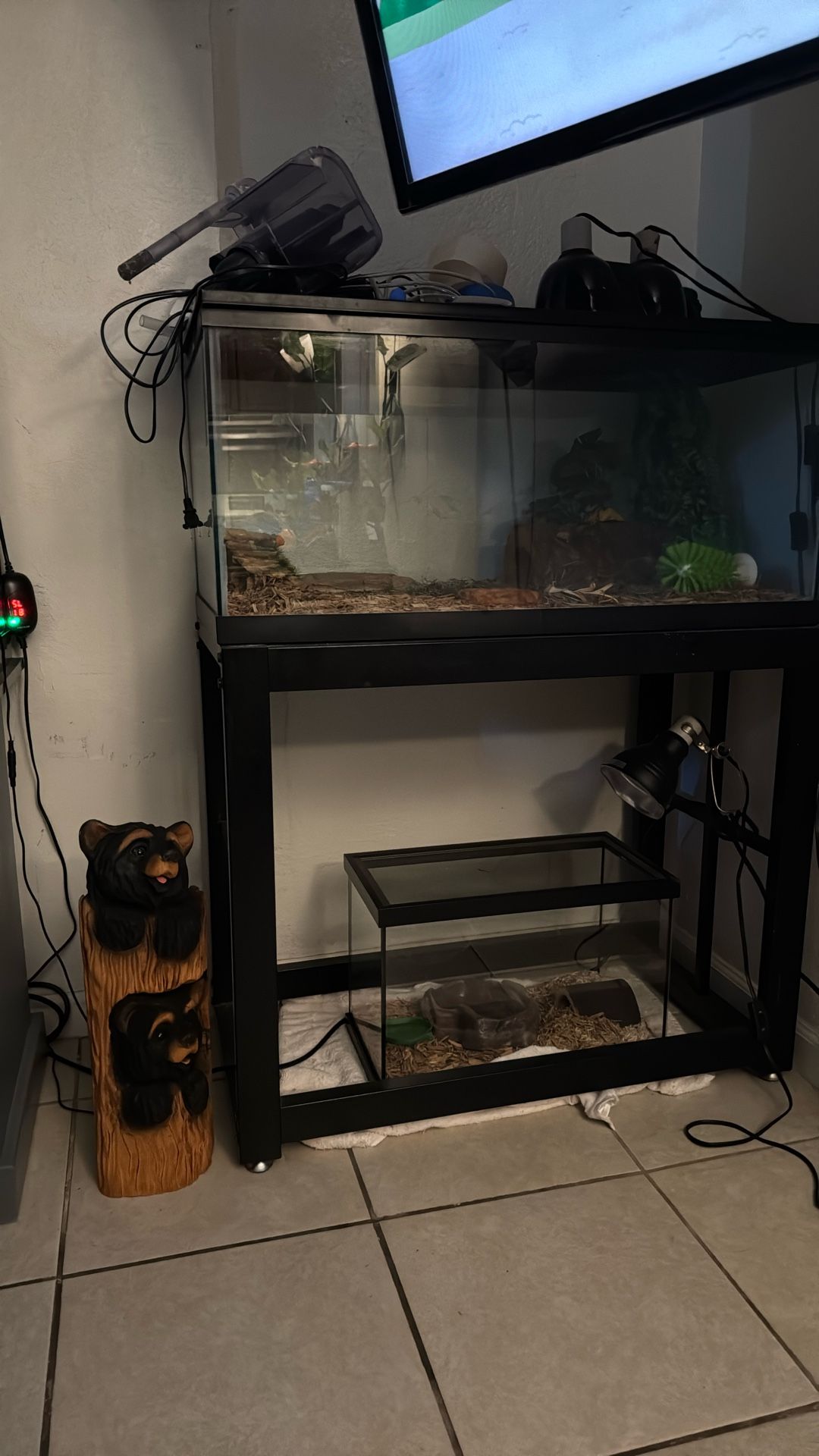 Reptile Aquarium/reptile Tank