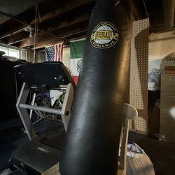 Everlast Leather Heavy 100lb punching bag