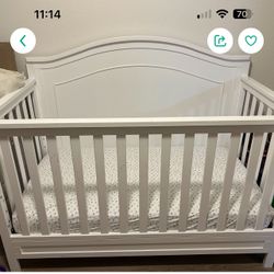 Crib From Buy buy Baby