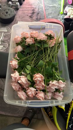 Roses