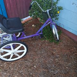 Trailmate 3 Wheel Bicycle