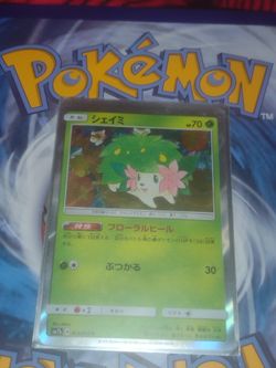 Japanese Holographic