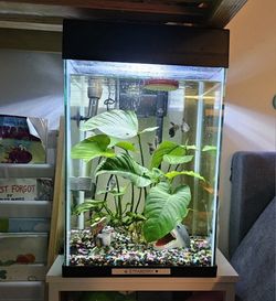 10G Complete FISH setup