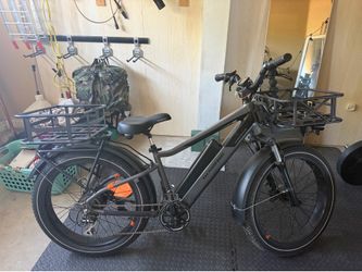 RadRover Plus E-Bike