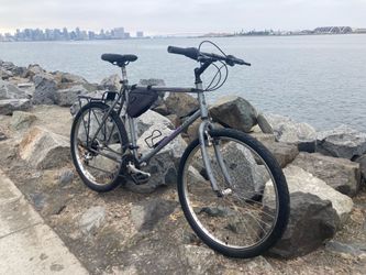Raleigh M 60 Bike