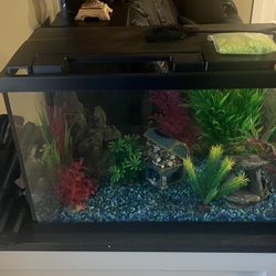 Fish Tank With Lots Of Accessories