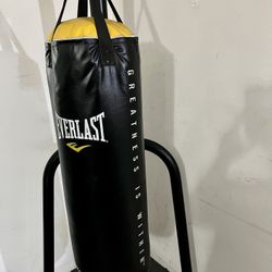 Punching Bag w/stand and Free Gloves 