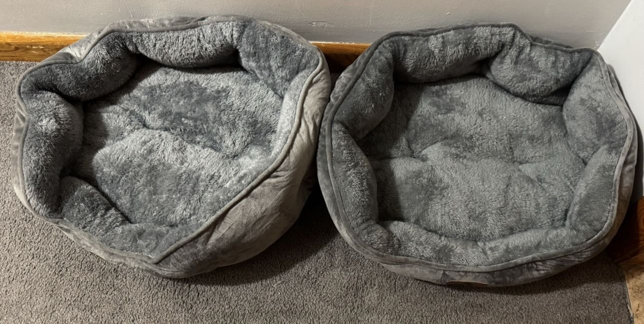 2 Grey cat pillows