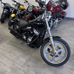 2024 HARLEY-DAVIDSON FXST SOFTAIL STANDARD 