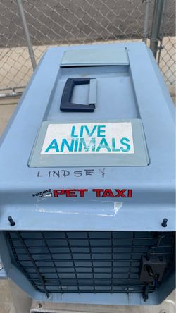 Petz taxi kage laik new 35