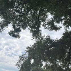 Busco Una Mujer Que Le Interesa Limpiar Una Traila Si Le Interésa Q Me Mande Su Número Yo le Llamo Gracias  Si Pudiera Mañana Mucho Mejor 