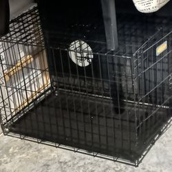 Dog Kennel