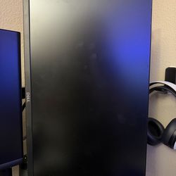 Dell Monitor 22”