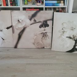 Floral Canvas Art